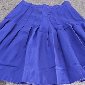 Elegant Blue Pleated Skirt